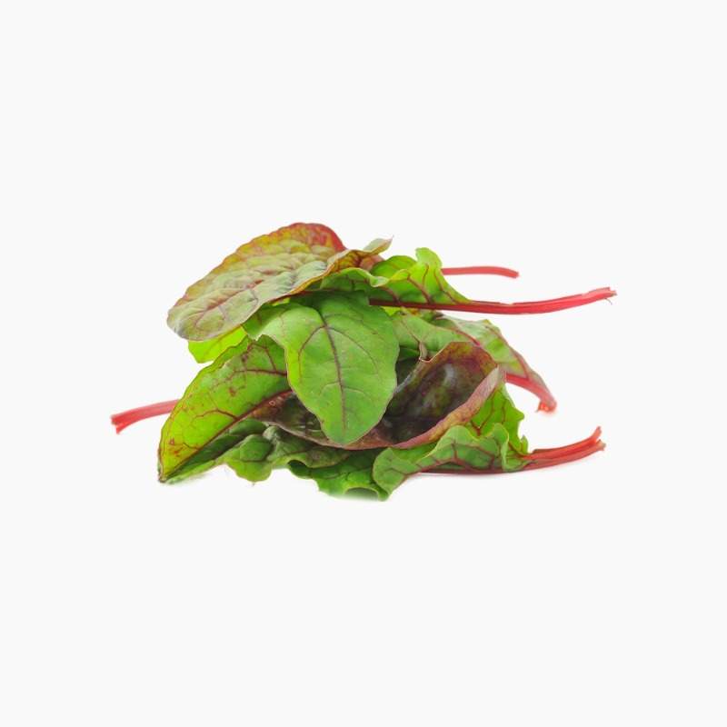 Red Chard 75g 75g Natureland