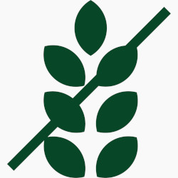 خالي الجلوتين