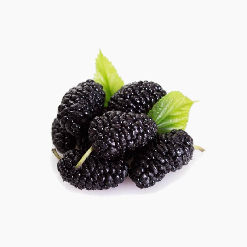 توت - الكويت ٢٢٥جم الأرض