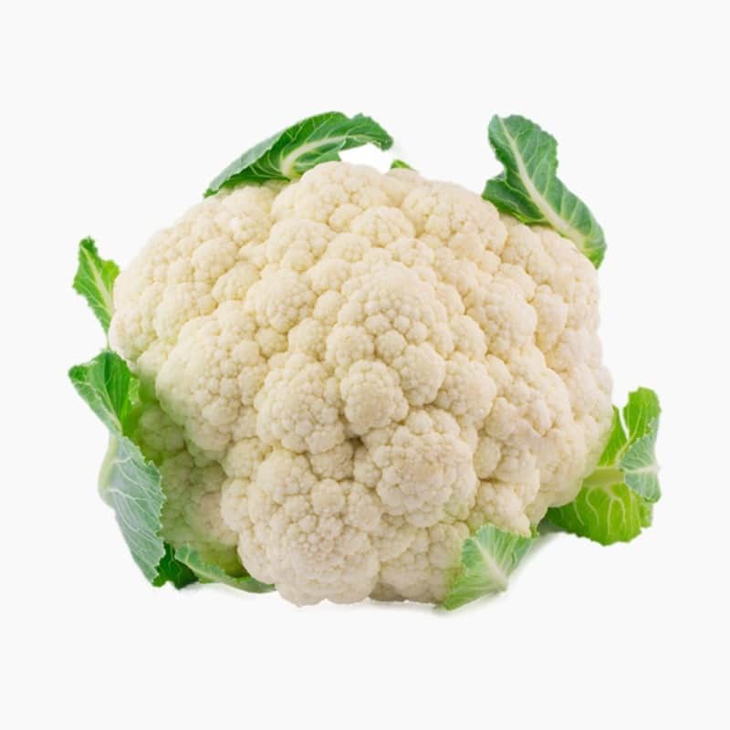 زهرة ٤٠٠جم الأرض