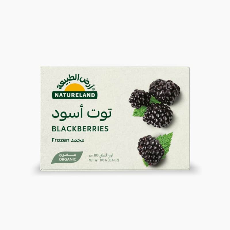 توت أسود مجمد ٣٠٠جم أرض الطبيعة