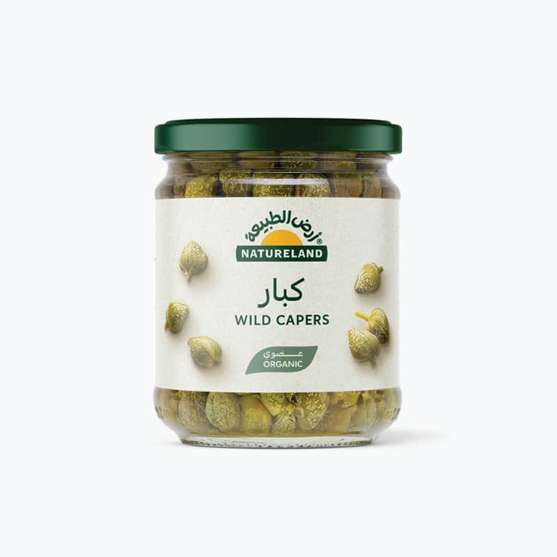 كبار ١٤٥جم أرض الطبيعة